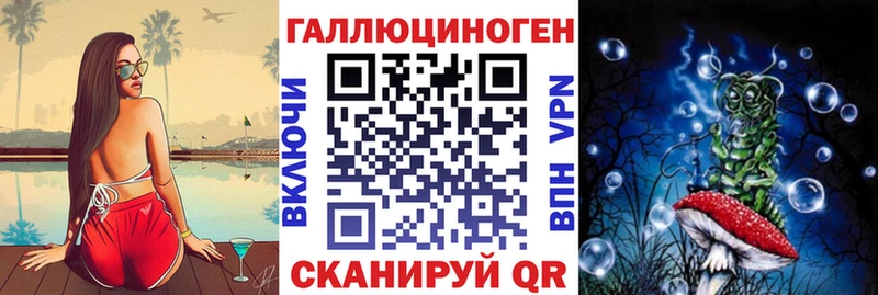 Купить где  Николаевск-на-Амуре  Галлюциногенные грибы GOLDEN TEACHER 